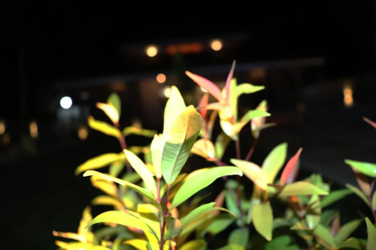 Villa Ananthaya Negombo Bed & Breakfast